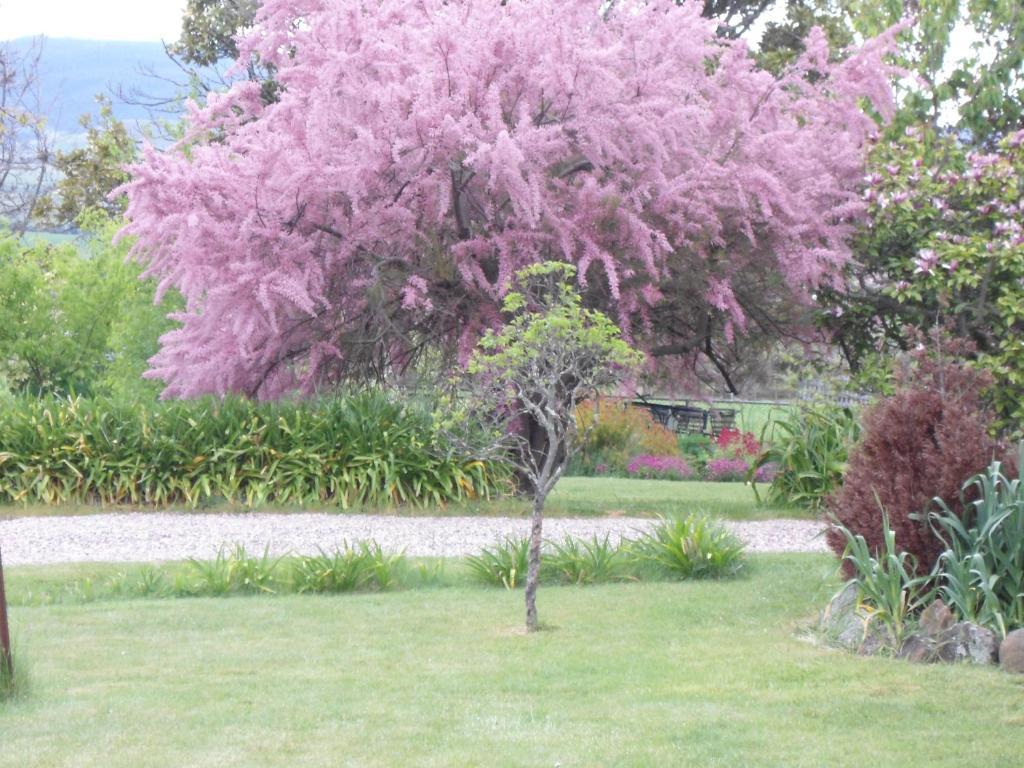 Roslyn House Bed & Breakfast Bushy Park Екстер'єр фото