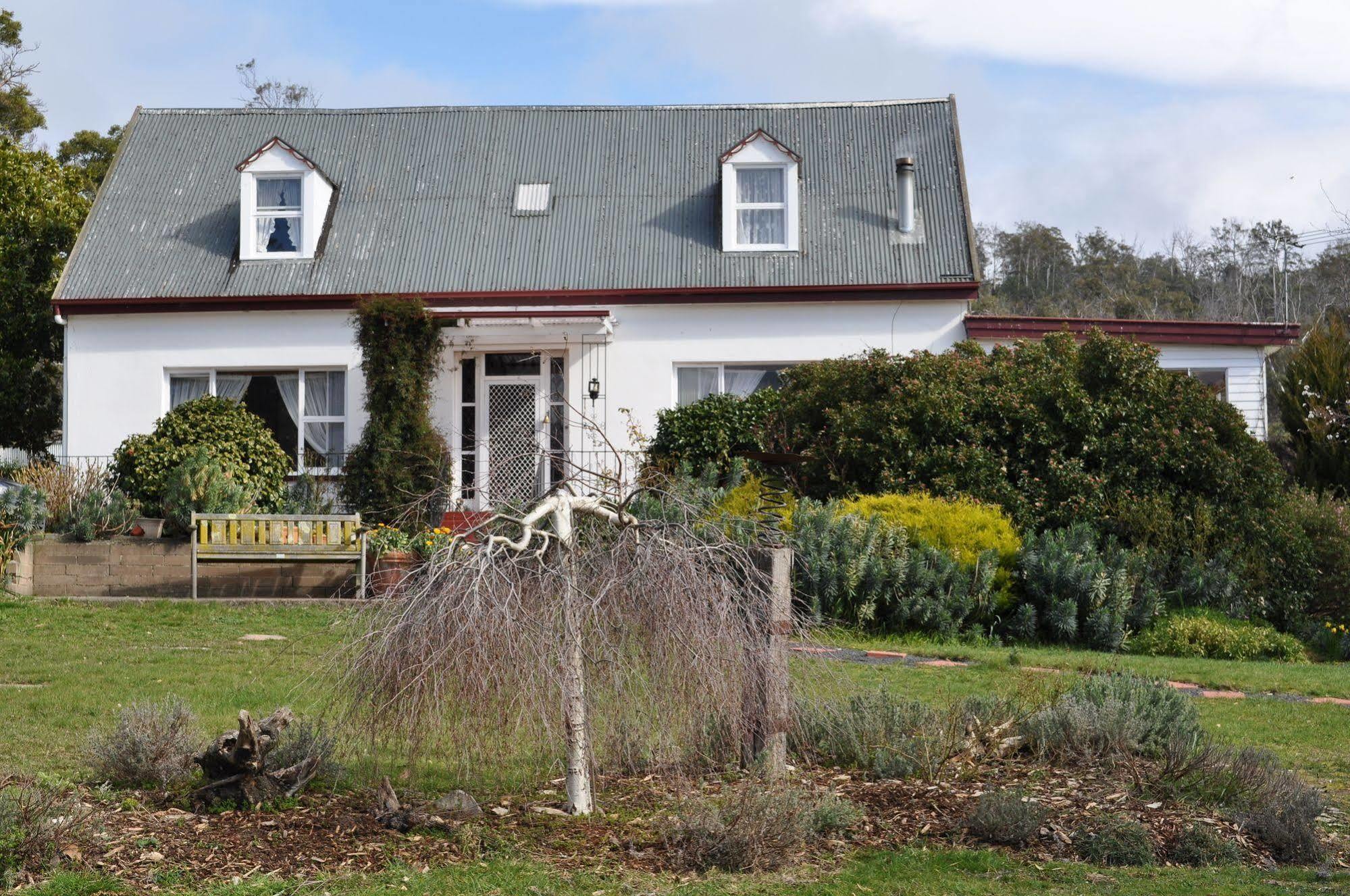 Roslyn House Bed & Breakfast Bushy Park Екстер'єр фото
