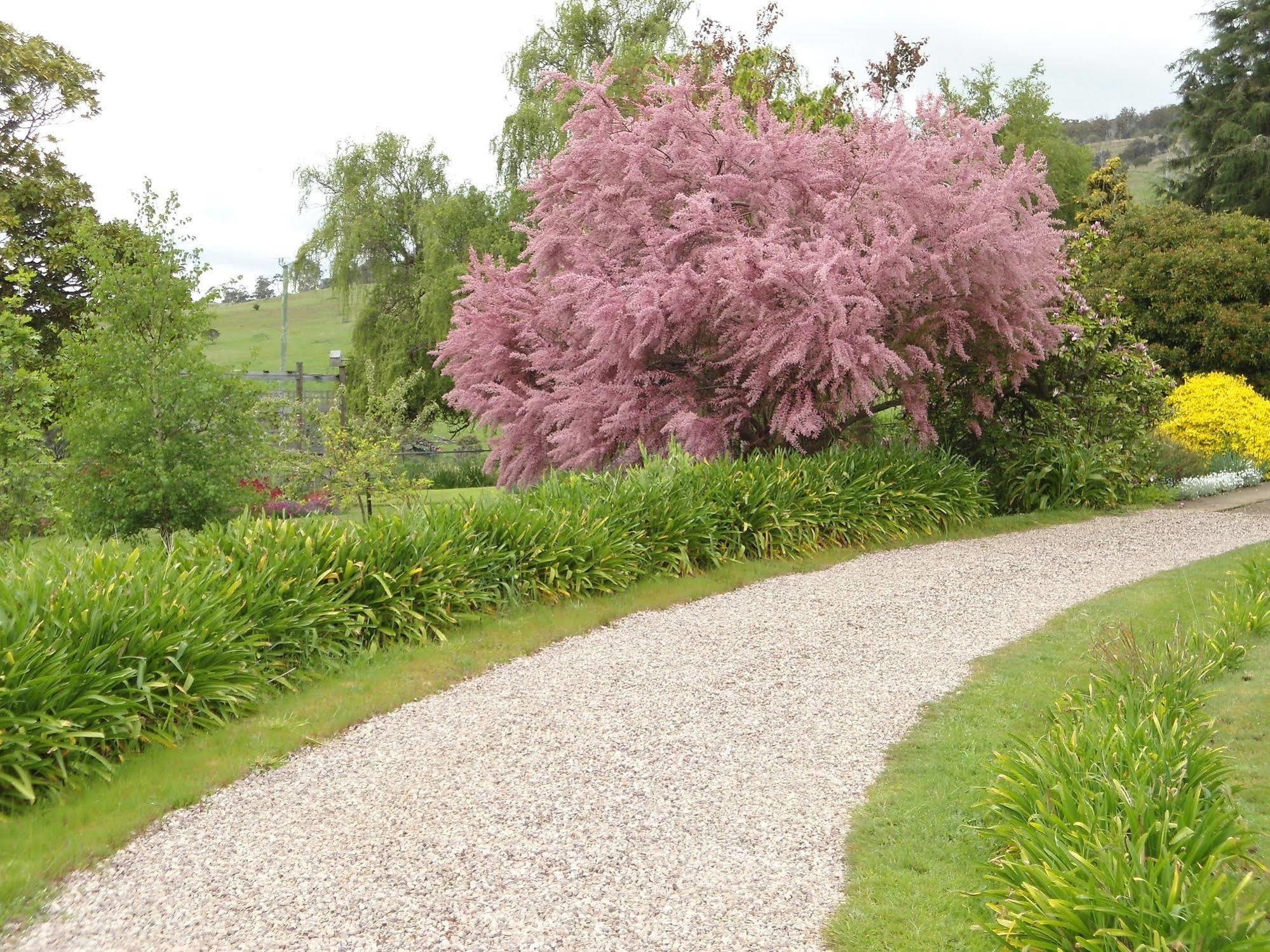Roslyn House Bed & Breakfast Bushy Park Екстер'єр фото