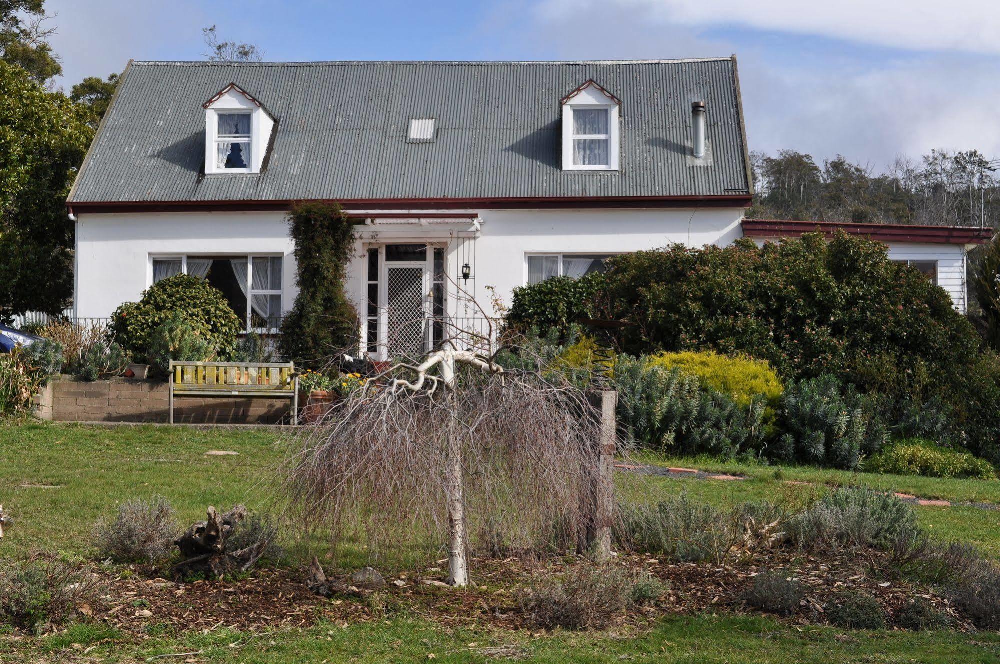 Roslyn House Bed & Breakfast Bushy Park Екстер'єр фото