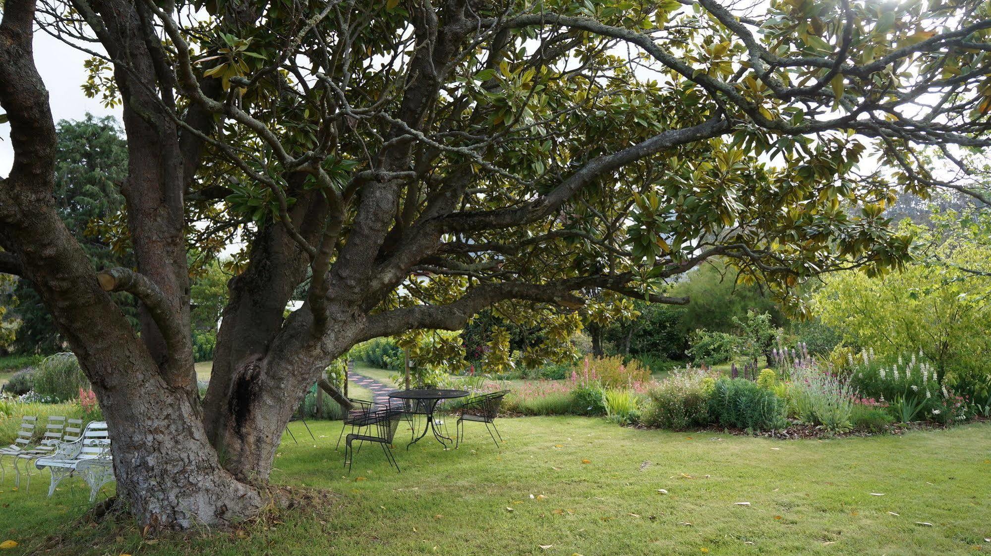Roslyn House Bed & Breakfast Bushy Park Екстер'єр фото