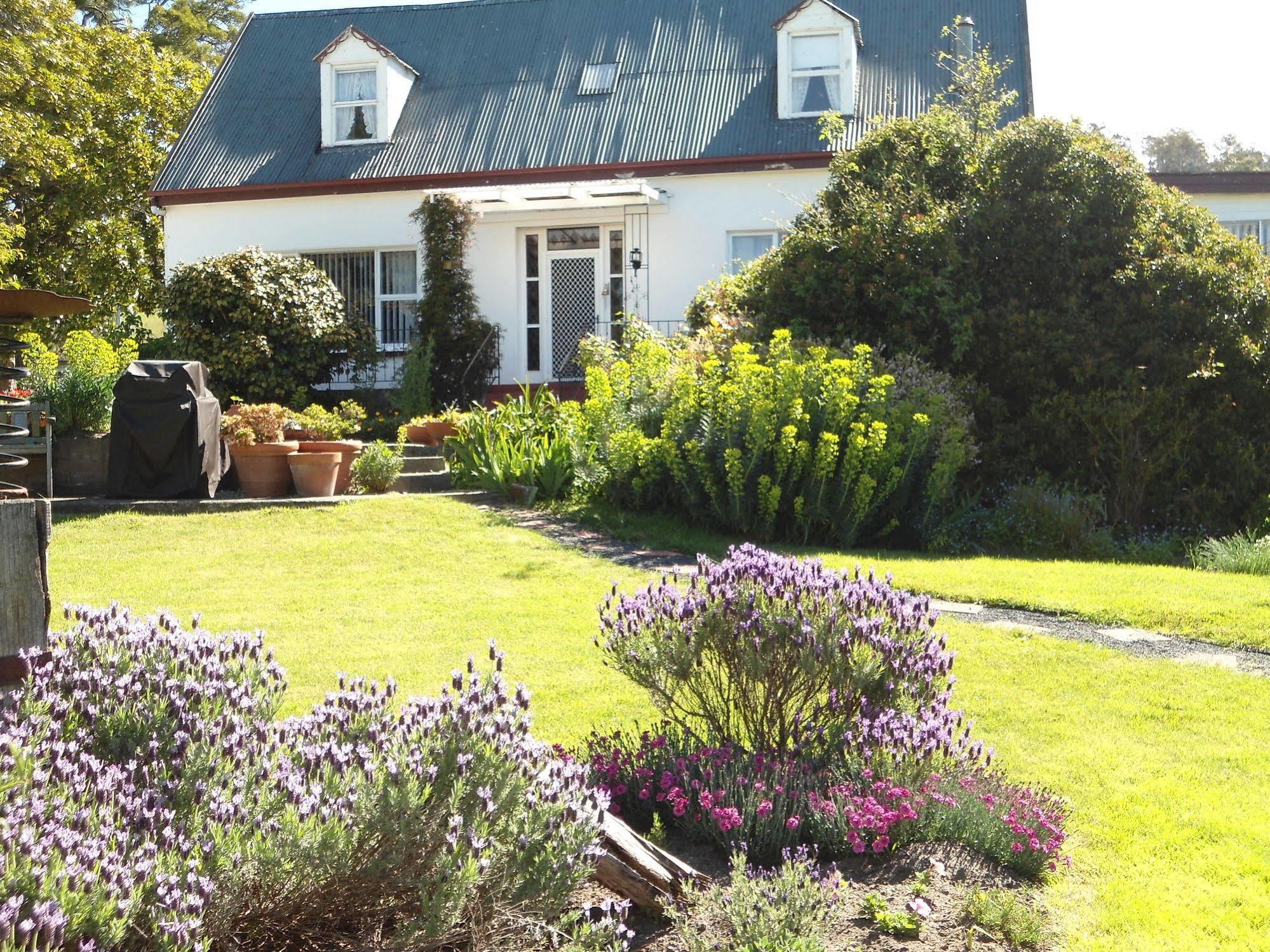 Roslyn House Bed & Breakfast Bushy Park Екстер'єр фото