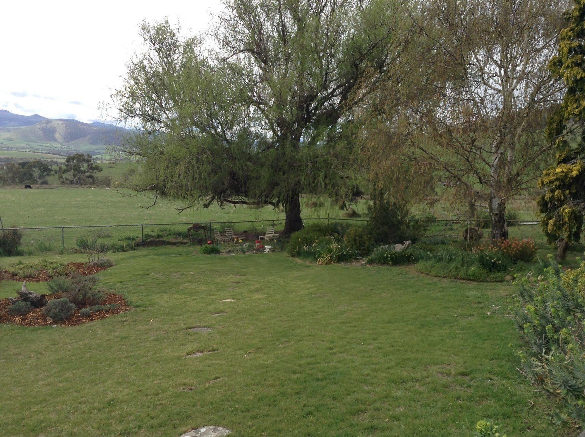 Roslyn House Bed & Breakfast Bushy Park Екстер'єр фото
